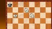 Le gain et la partie nulle aux échecs : 2ème partie
