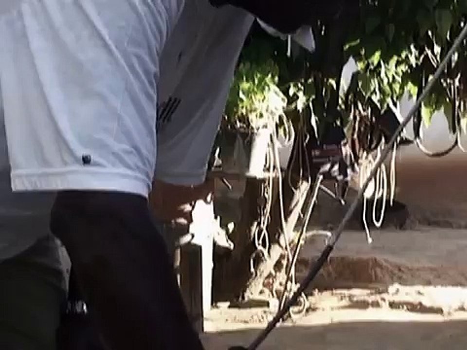 Unha Preta