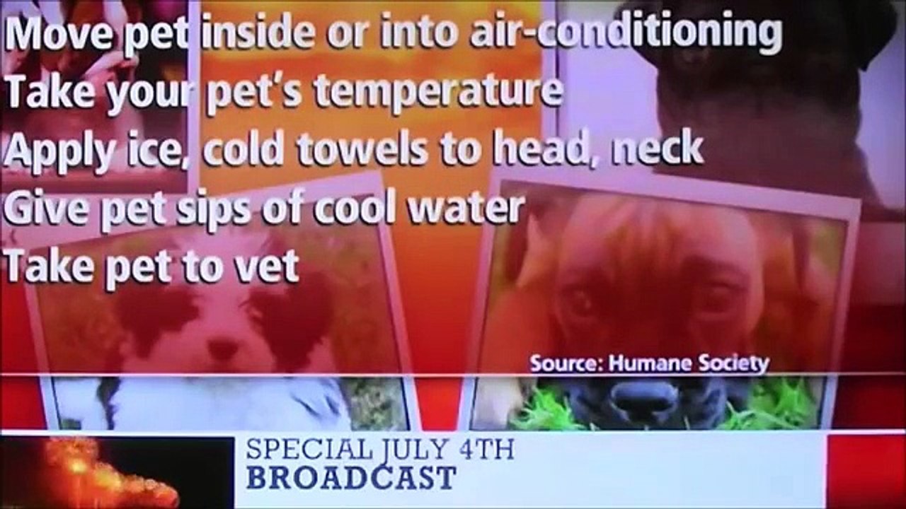Funny Videos Fail Compilation 2015 Best Funny Fail Videos & New Funny Home Videos 2015