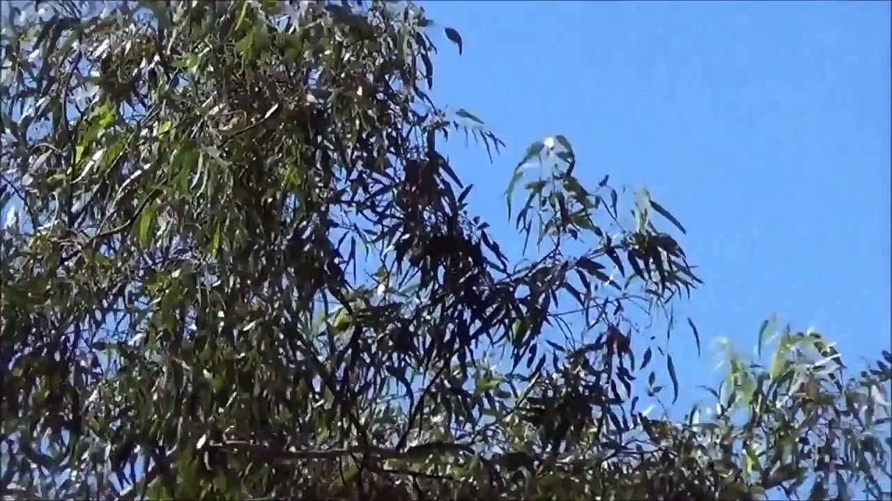 Ufo Sigthing 2015-Ufo Documentary September 2015 HD