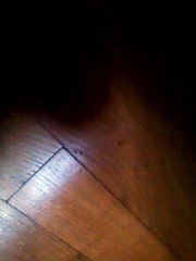 darkrai-la nouvel maison