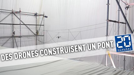 Des drones construisent un pont de singe