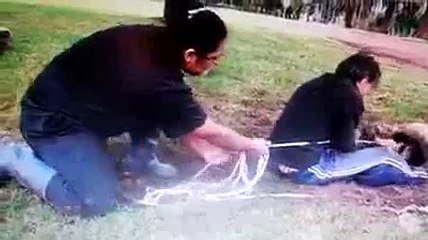 The Girl Has Risked So Much for dogs life