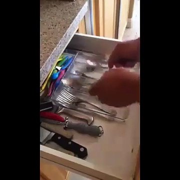 Wow Simply Amazing Music Composed With Spoons