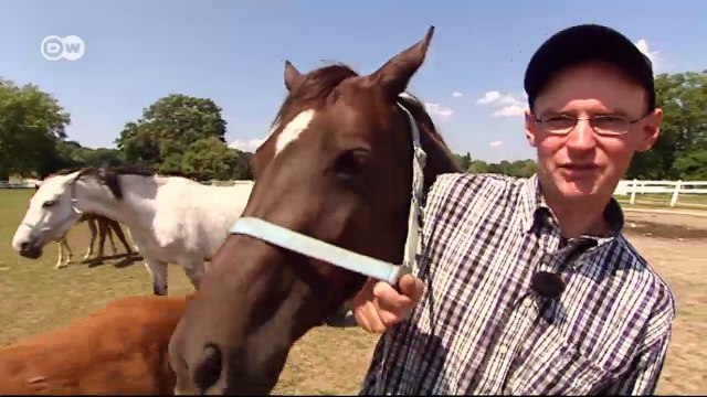 Visita a Rügen con dos turistas canadienses | Destino Alemania
