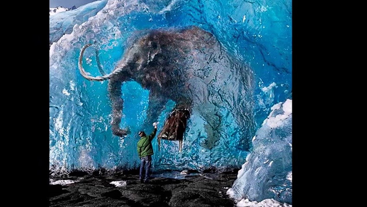 Top 10 most amazing and  unbelievable photos in the  world