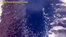 Awesome video Black fish? Ever seen it?