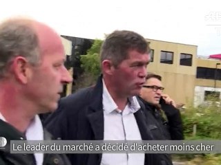 Inquiétude des éleveurs de porcs sur l'avenir du marché au cadran de Plérin