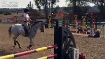 California Girl takes the win in the 1.0M low AAs at Sonoma Horse Park against a field of horses