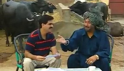 punjabi Old Man Funy Clips