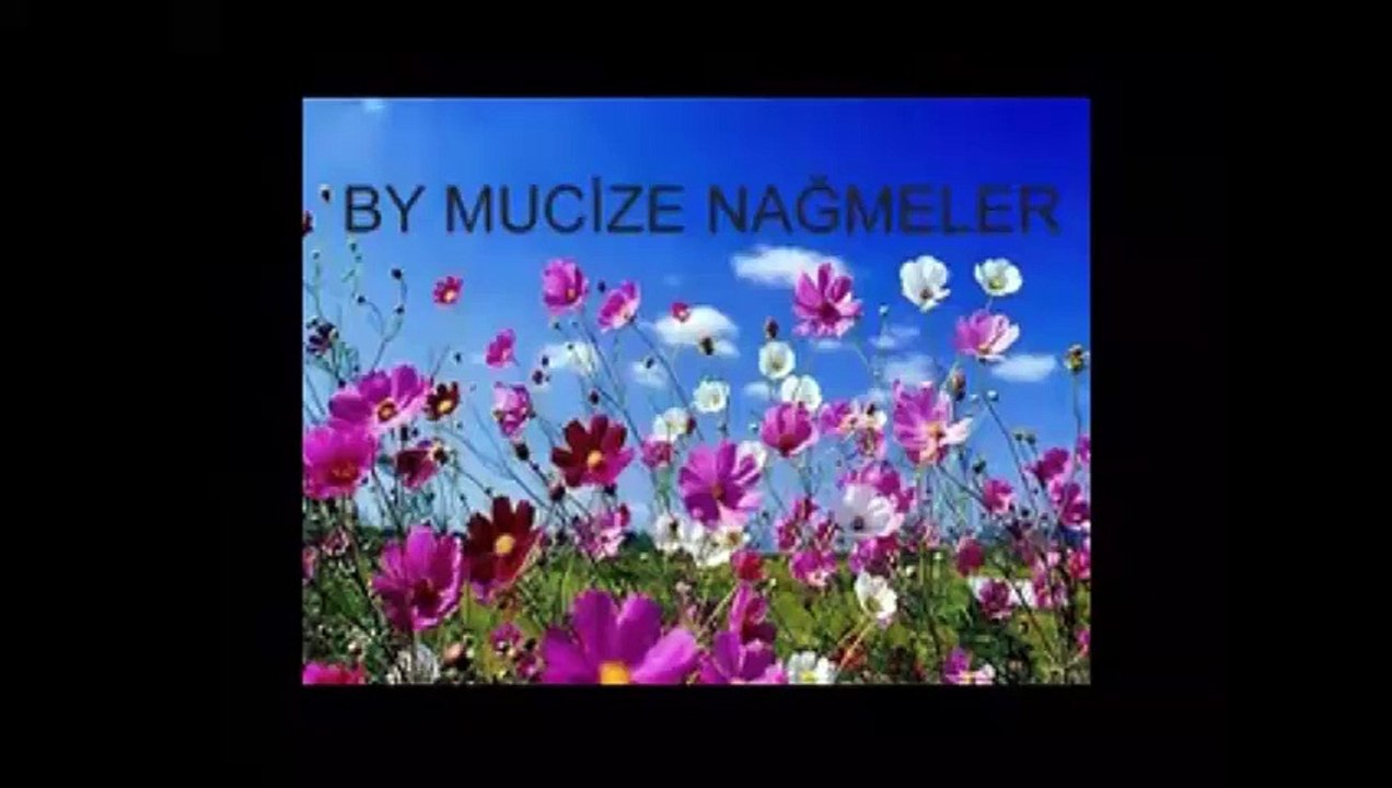 SEN KİMSEYİ SEVEMEZSİN - ZEKİ MÜREN