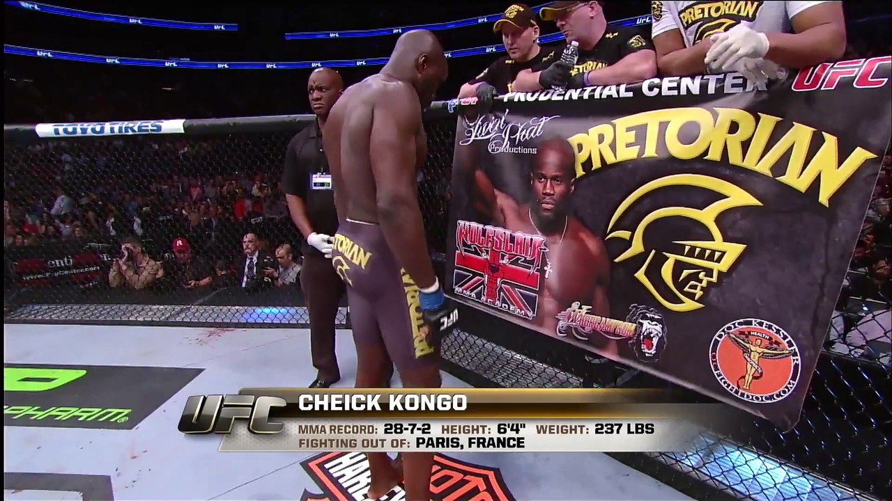 Fight Night Japan Free Fight Roy Nelson vs Cheick Kongo - Video Dailymotion