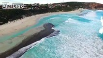 LiveLeak.com - Surfers!  Dolphins jumping the waves..