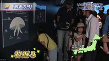 敬老の日に合わせ「不老不死のクラゲ」展示　NHKニュース.mp4