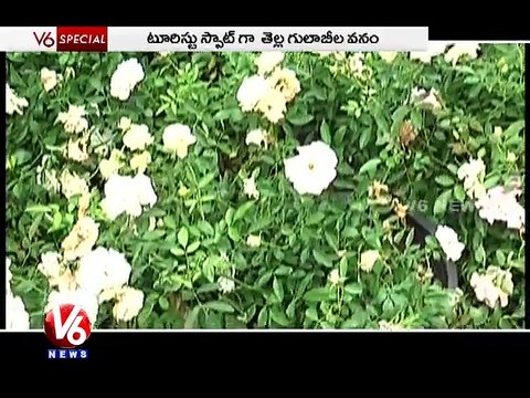 V6 Special - V6 News (21-09-2015)