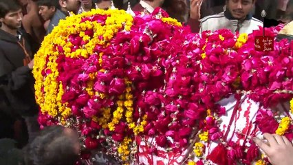 28 Muharram Zyarat zuljanah, Matamdari islampura Lahore