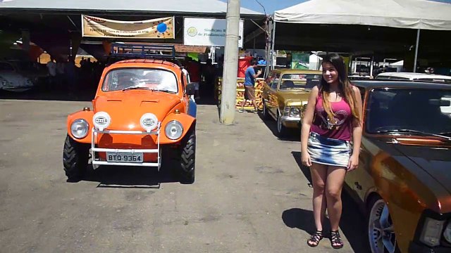 Autos, carros, antigos, amigos, Pindamonhangaba, SP, Brasil, Encontro de amigos