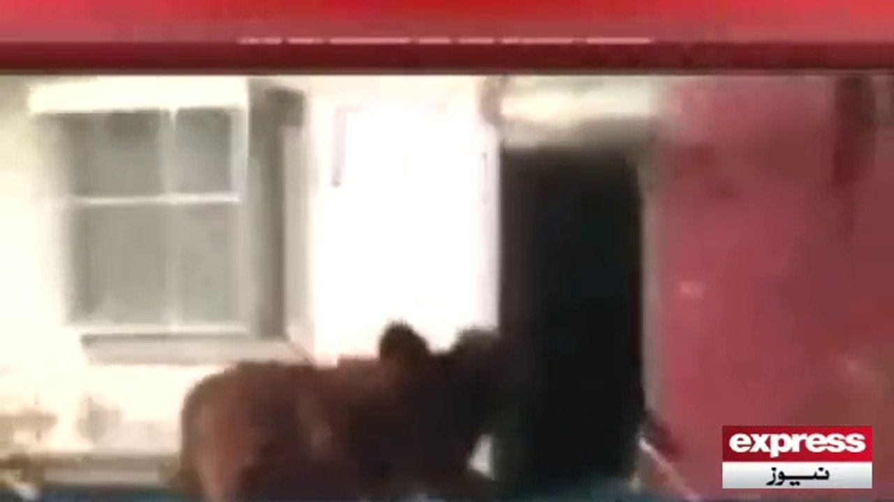 Bull in Building