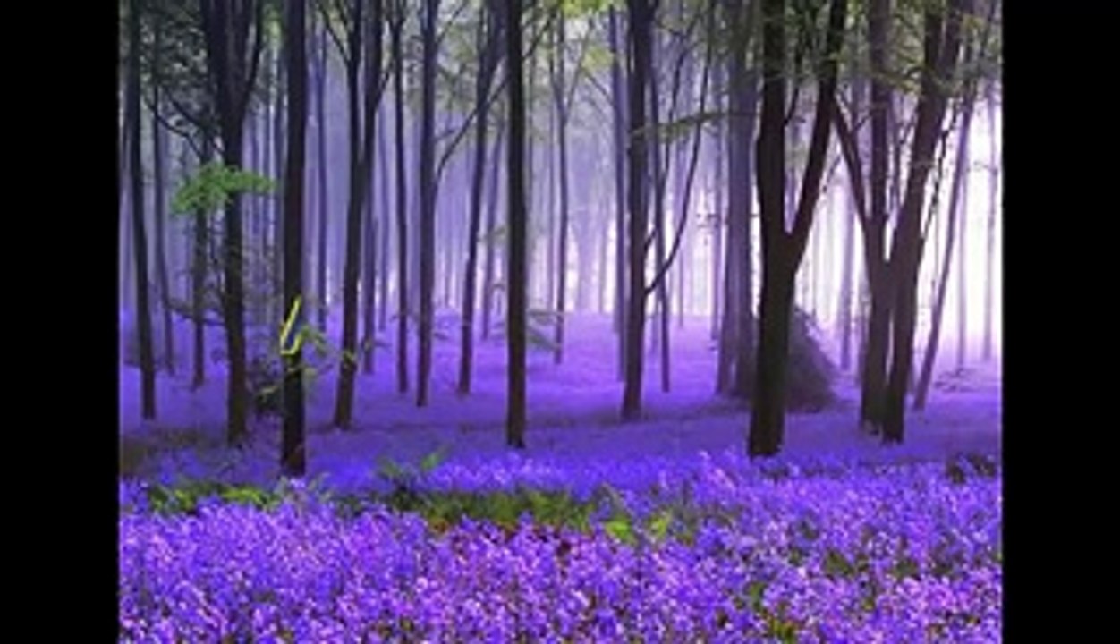 Islamic Videos: Micheal Jackson’s Sister Janet Jackson Accept Islam