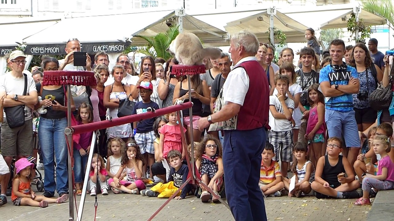 La Rochelle - Spectacle de rue (chien chat souris)
