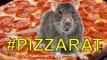 New York PIZZA RAT Desperately Wants To Eat Pizza | What's Trending Now