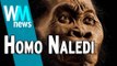 10 Homo Naledi Discovery Facts - WMNews Ep. 45