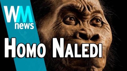 10 Homo Naledi Discovery Facts - WMNews Ep. 45