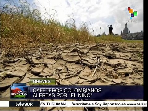 Colombia: productores de café alertan sobre efectos de El Niño