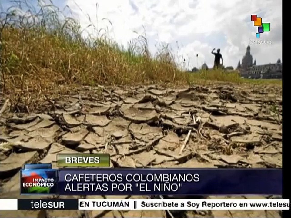 Colombia: productores de café alertan sobre efe...