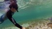 LiveLeak.com - Snorkeler Takes Selfie With Stingray