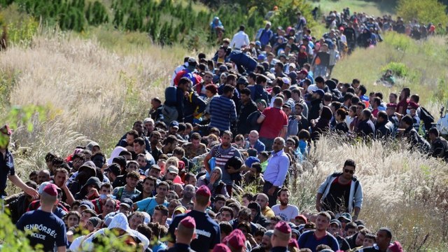 Breaking down Europe's migrant crisis