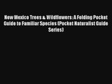 New Mexico Trees & Wildflowers: A Folding Pocket Guide to Familiar Species (Pocket Naturalist