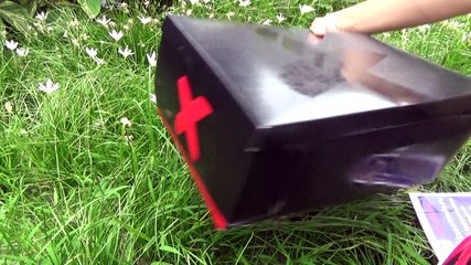 Authentic Air Jordan 1 “Banned” Review