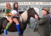 Horse Pops Into His Local Pub for a Pint