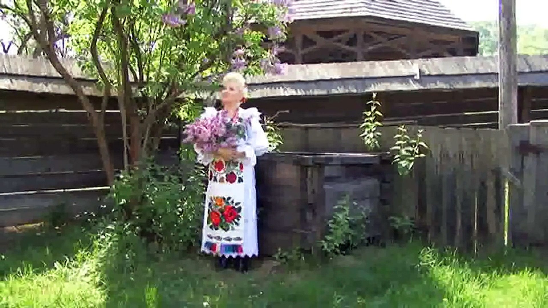 Sava Negrean Brudascu - Pe cararea vietii mele (Florile de liliac) - DVD -  Dorul meu si dragostea - video Dailymotion
