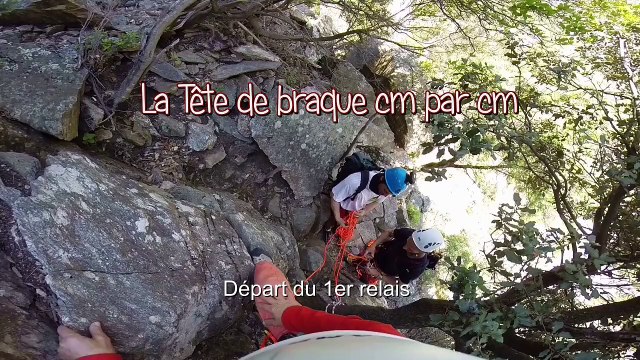 Aquarelle, lichens, roche et Tête de braque (escalade 2ème longueur)