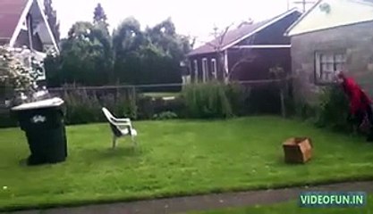 Best Fail Compilation 2015 Funny Latest Funny Clips