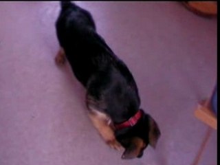 CARMENE CRISE DE NERFS