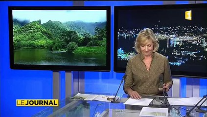Un collectif de riverains dit non à l’Ecoparc de la Papenoo