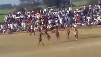 Best Kabaddi Stop of all time 2014 (29 seconds)