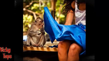 Photos taken at the right moment 2015  #3   Fotos tomadas en el momento justo