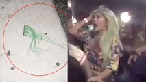 ATTACKED: Kylie Jenner Gets Hair Pulled By Fan At Chris Brown Concert