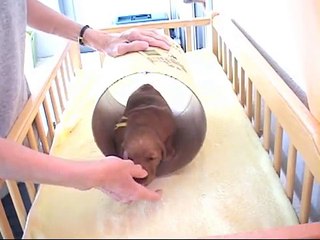 Une des videos les plus inspirantes qui soit