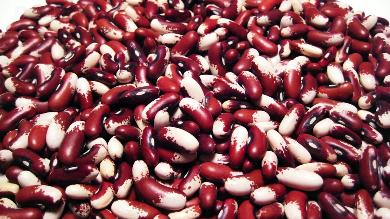 Top 10 Foods You Should Eat Daily 2015