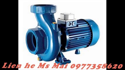 Máy bơm nước Pentax CM65-250A.