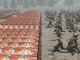 Attaque Romains Barbare 3D Rome Total War