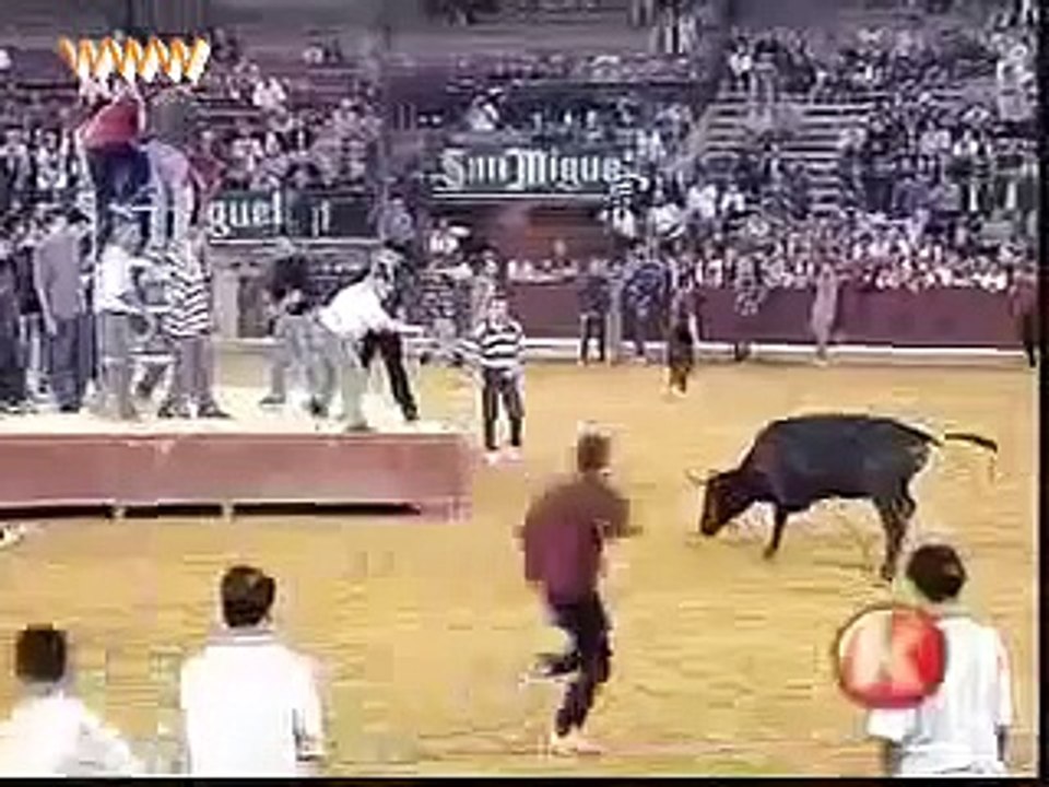Funny BullFight