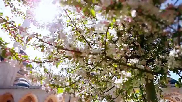 ‫رحمن رحمن - مشاري راشد العفاسي Mishari Rashid Al Afasy - Rahman‬ -