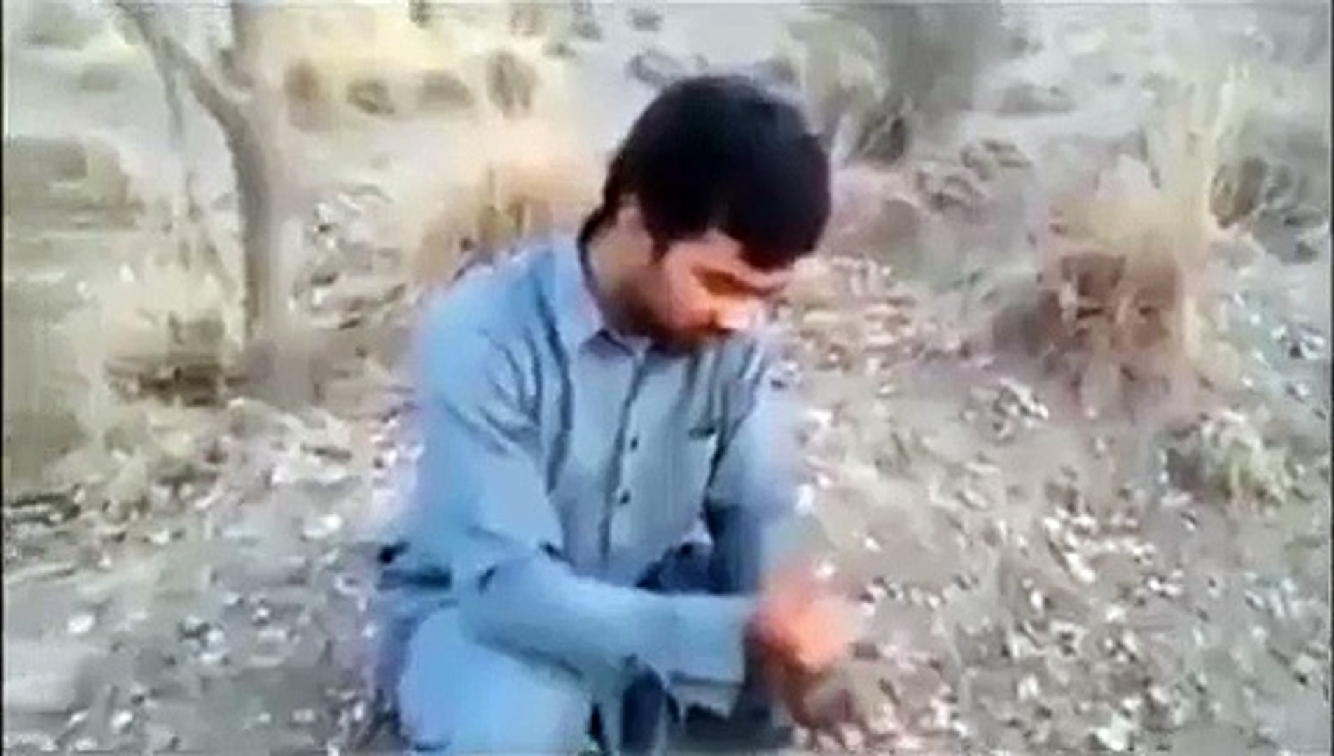 Pashto funny clip funny pathan in action Funny Videos Pashto