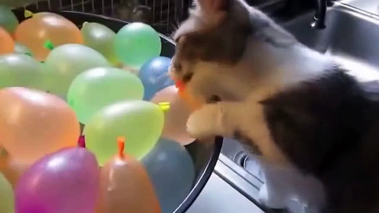 https://www.youtube.com/watch?v=59Ausj9z420&feature=youtu.be